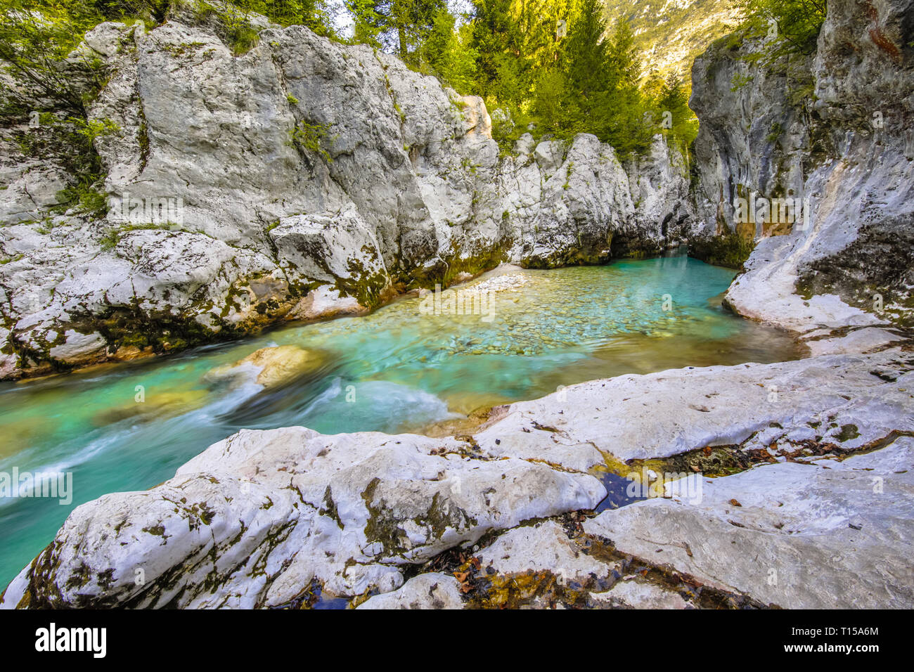 Türkisfarbene Fluss Soca im Triglav National Park, die Julischen Alpen, Slowenien, Europa Stockfoto