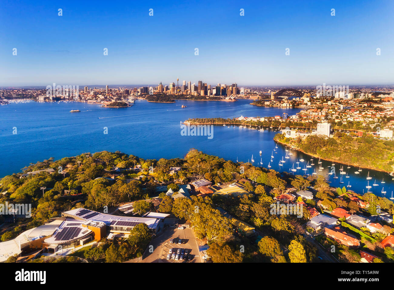 Lower North SHore Wohngebiet wohlhabenden Vorort Mosman auf SYdney HArbour Waterfront mit Blick auf weit entfernte Stadt Sydney CBD Sehenswürdigkeiten aus der Luft gesehen. Stockfoto