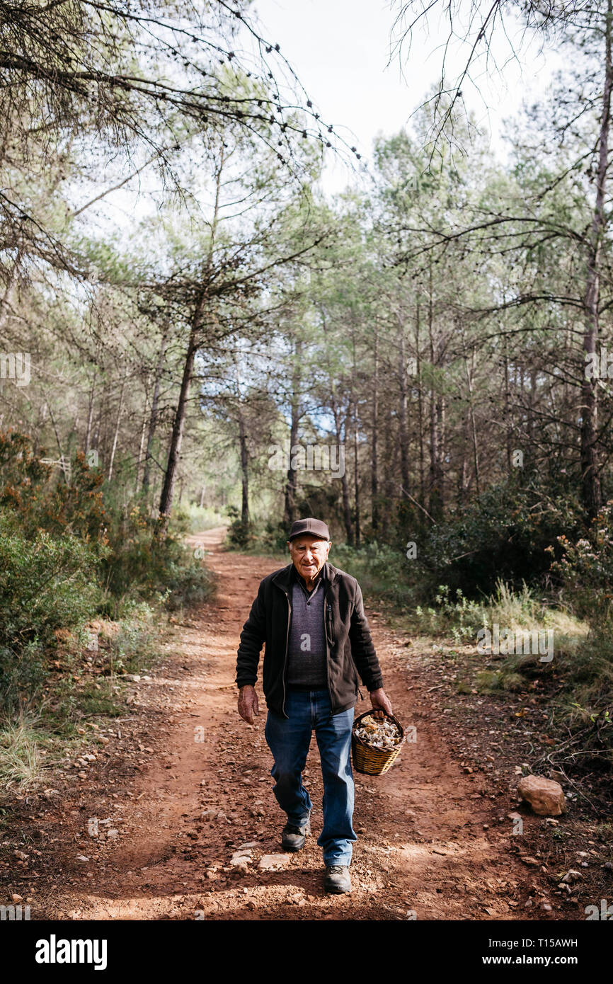 Portrait von lächelnden älteren Mann mit Korb voller Pilze im Wald Stockfoto