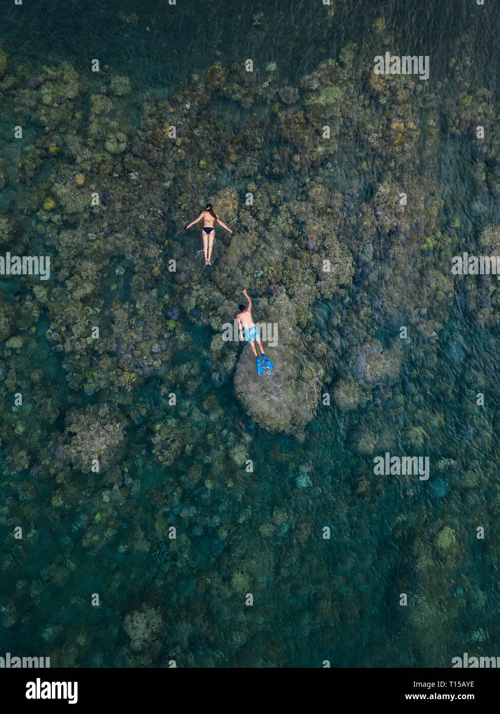 Paar im Ozean Schnorcheln Stockfoto