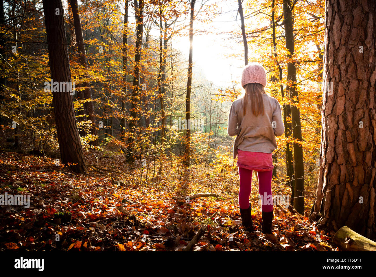 Junge Mädchen allein stehend im Herbst Wald, Rückansicht Stockfoto