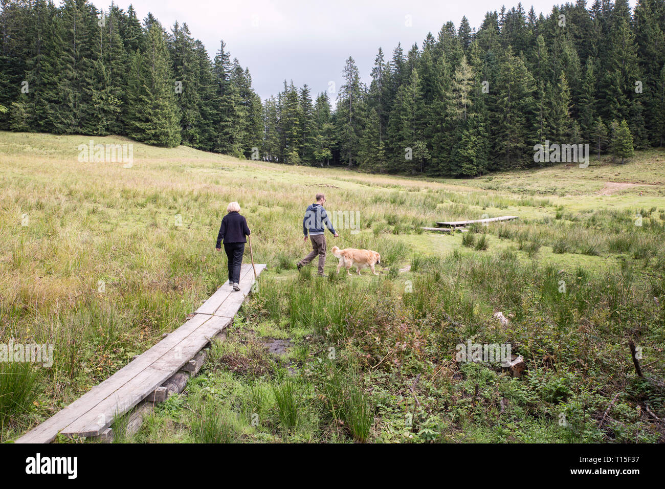 Österreich, Tirol, Kaisergebirge, Mutter und erwachsener Sohn mit Hund auf eine Wanderung in den Bergen Stockfoto