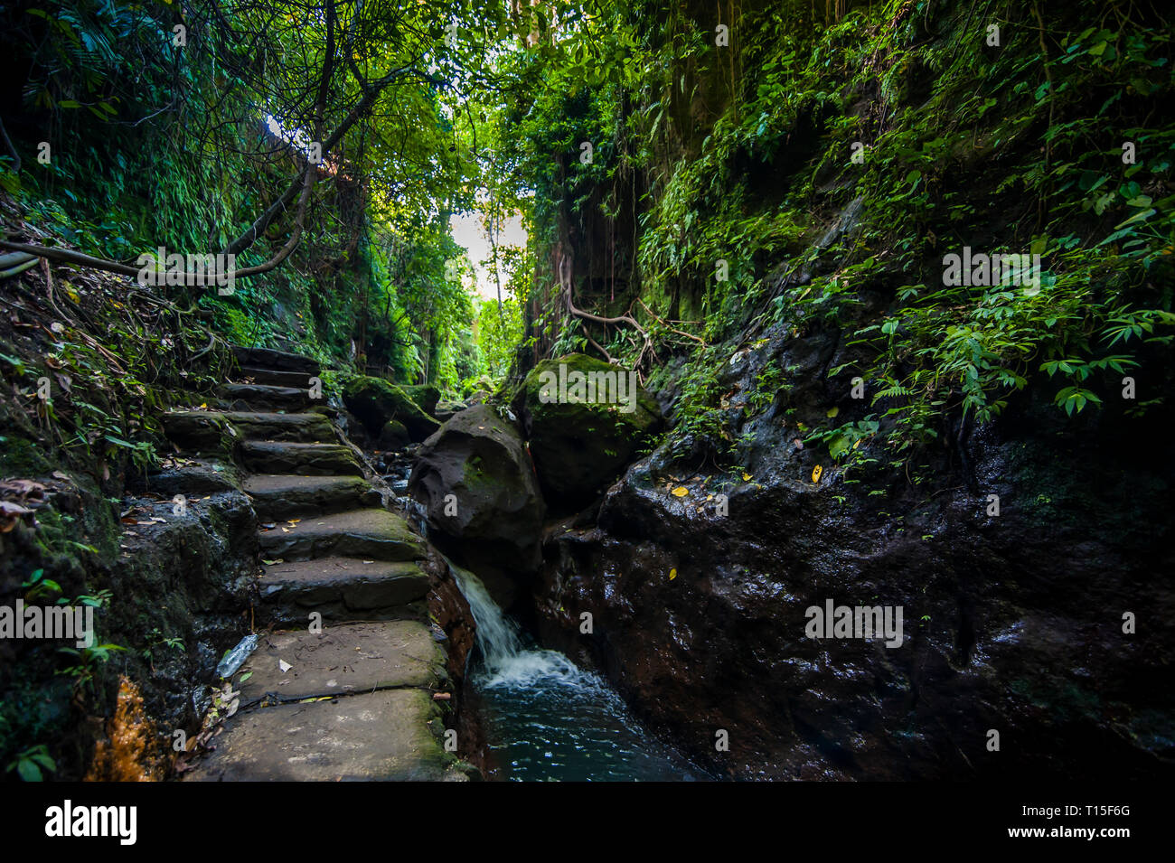Indonesien, Bali, Treppen in den heiligen Affenwald von Ubud Stockfoto