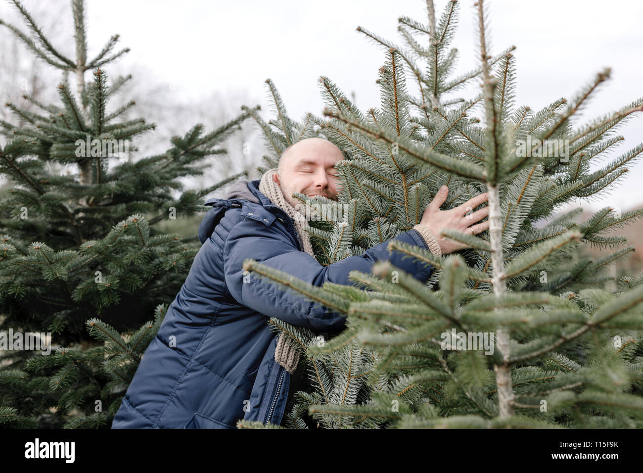 Lächelnd Mann umarmen Weihnachtsbaum auf einer Plantage Stockfoto