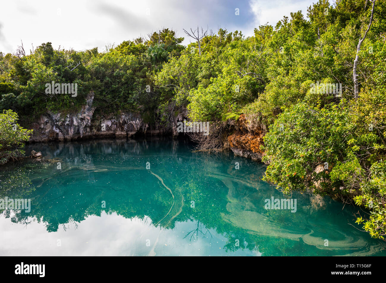 Bermuda, Doline im Blue Hole Park Stockfoto