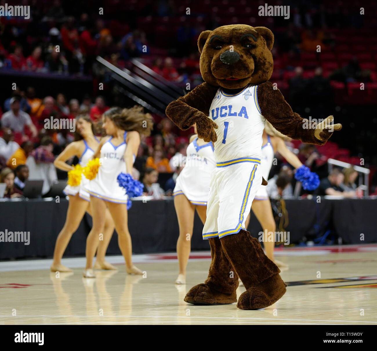 College Park, MD, USA. 23 Mär, 2019. UCLA Bruins Maskottchen führt während der ersten Runde des NCAA Meisterschaft das Spiel der Frauen zwischen dem Tennessee Dame Vols und der UCLA Bruins an der Xfinity Zentrum in College Park, Md. Justin Cooper/CSM/Alamy leben Nachrichten Stockfoto