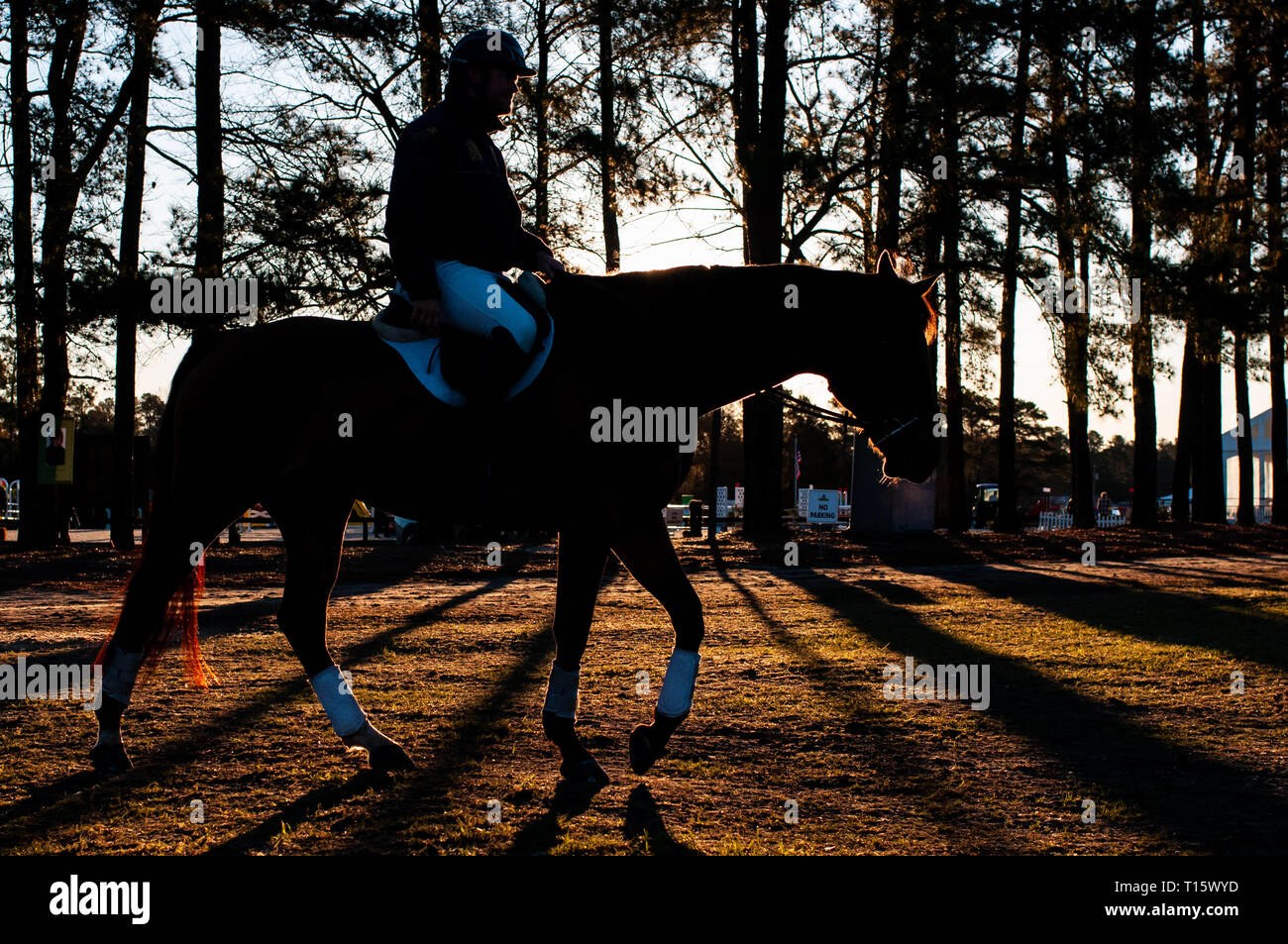 Raeford, North Carolina, USA. 22 Mär, 2019. März 23, 2019 - Raeford, N.C., USA - ein Reiter und Pferd wieder in den Stall, da geht die Sonne auf an der 6. jährlichen Cloud 11 - Gavilan North LLC Carolina International CCI und Pferd Versuch, bei Carolina Horse Park. Die Carolina International CCI und Pferd Versuch ist einer von North America's Premier eventing Wettbewerbe für nationale und internationale eventing Kombinationen, internationale Konkurrenz an der CCI 2*-S durch CCI 4*-S-Ebene und auf nationaler Ebene der Ausbildung durch erweiterte. Credit: Timothy L. Hale/ZUMA Draht/Alamy leben Nachrichten Stockfoto