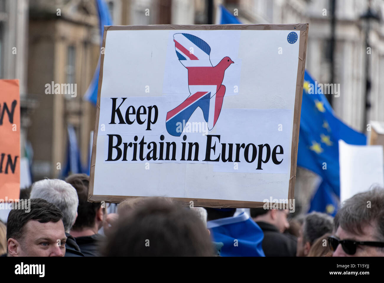 London, Großbritannien. 23 Mär, 2019. Völker Abstimmung März, Großbritannien in Europa Plakette halten. Menge detail und Banner aus der Perspektive einer demonstrantin. Bleiben Banner, zweites Referendum. Credit: Tony Pincham/Alamy leben Nachrichten Stockfoto