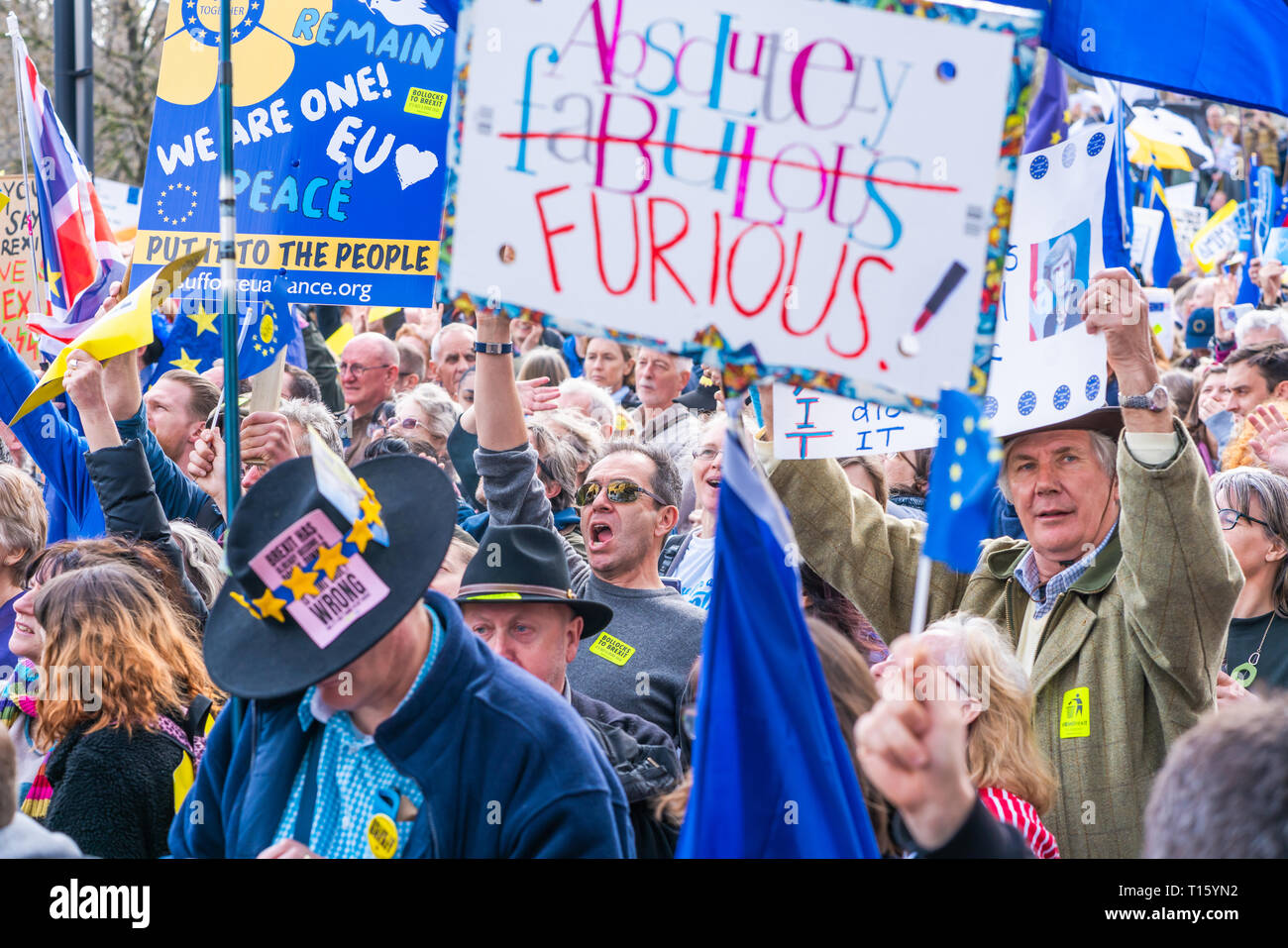 London, Großbritannien. 23 Mär, 2019. Hunderttausende bleiben Kampagne Demonstranten melden Sie Abstimmung März in London verlangt eine Abstimmung über die endgültige Brexit beschäftigen. Credit: Beata Aldridge/Alamy leben Nachrichten Stockfoto