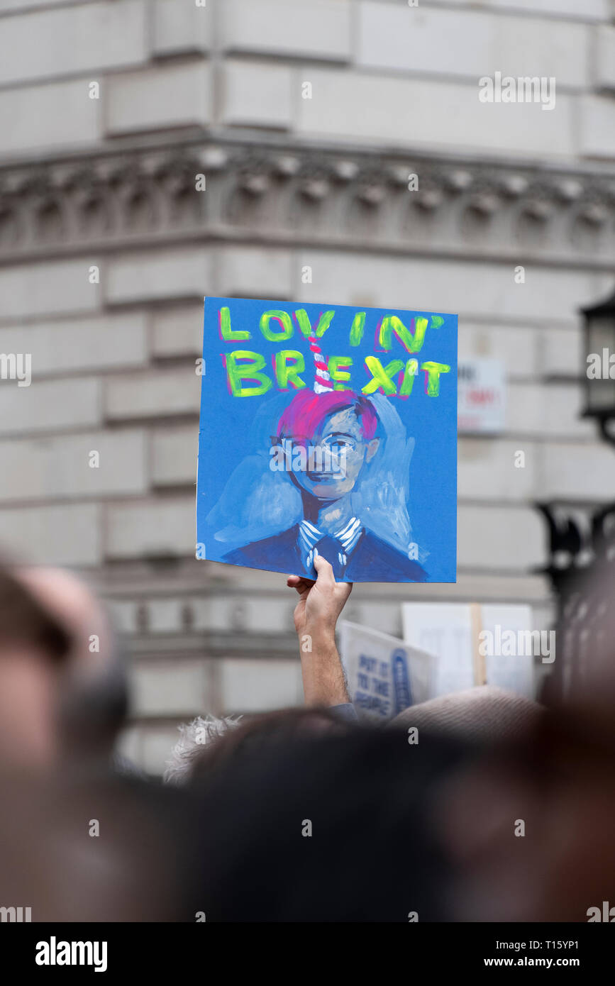 London, Großbritannien. 23 Mär, 2019. Völker Abstimmung März, Arty Mogg Plakat Downing Street. Menge detail und Banner aus der Perspektive einer demonstrantin. Bleiben Banner, zweites Referendum. Credit: Tony Pincham/Alamy leben Nachrichten Stockfoto