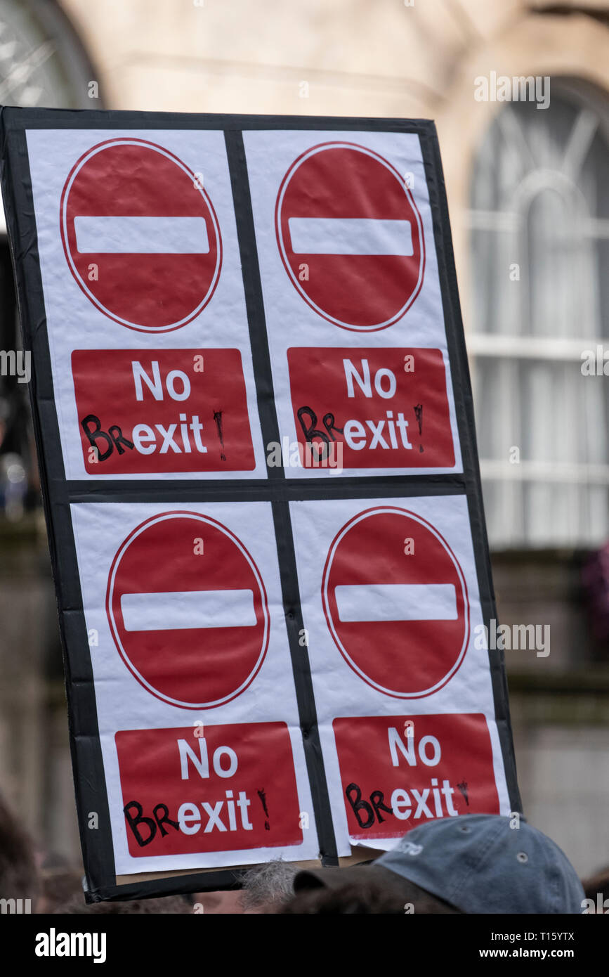 London, Großbritannien. 23 Mär, 2019. Völker Abstimmung März, keine Ausfahrt Banner. Menge detail und Banner aus der Perspektive einer demonstrantin. Bleiben Banner, zweites Referendum. Credit: Tony Pincham/Alamy leben Nachrichten Stockfoto