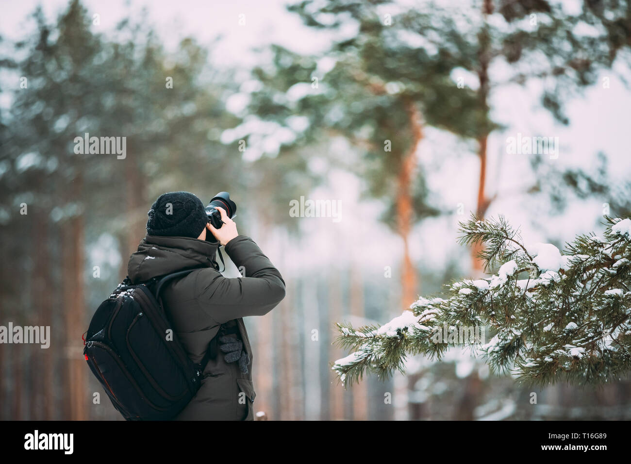 Junger Mann Backpacker mit Foto Kamera nimmt Fotos im Winter schneebedeckten Wald. Aktive Hobby. Wanderer Wandern in Verschneiten Pinienwald Stockfoto