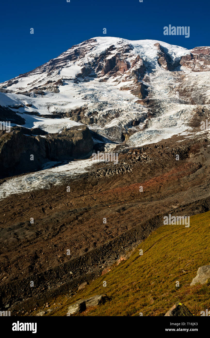 WA 16024-00 ... WASHINGTON - Blick auf den Schmutz bedeckt Nisqually Gletscher Gletscher Vista im Paradies der Mount Rainier National Park. Stockfoto