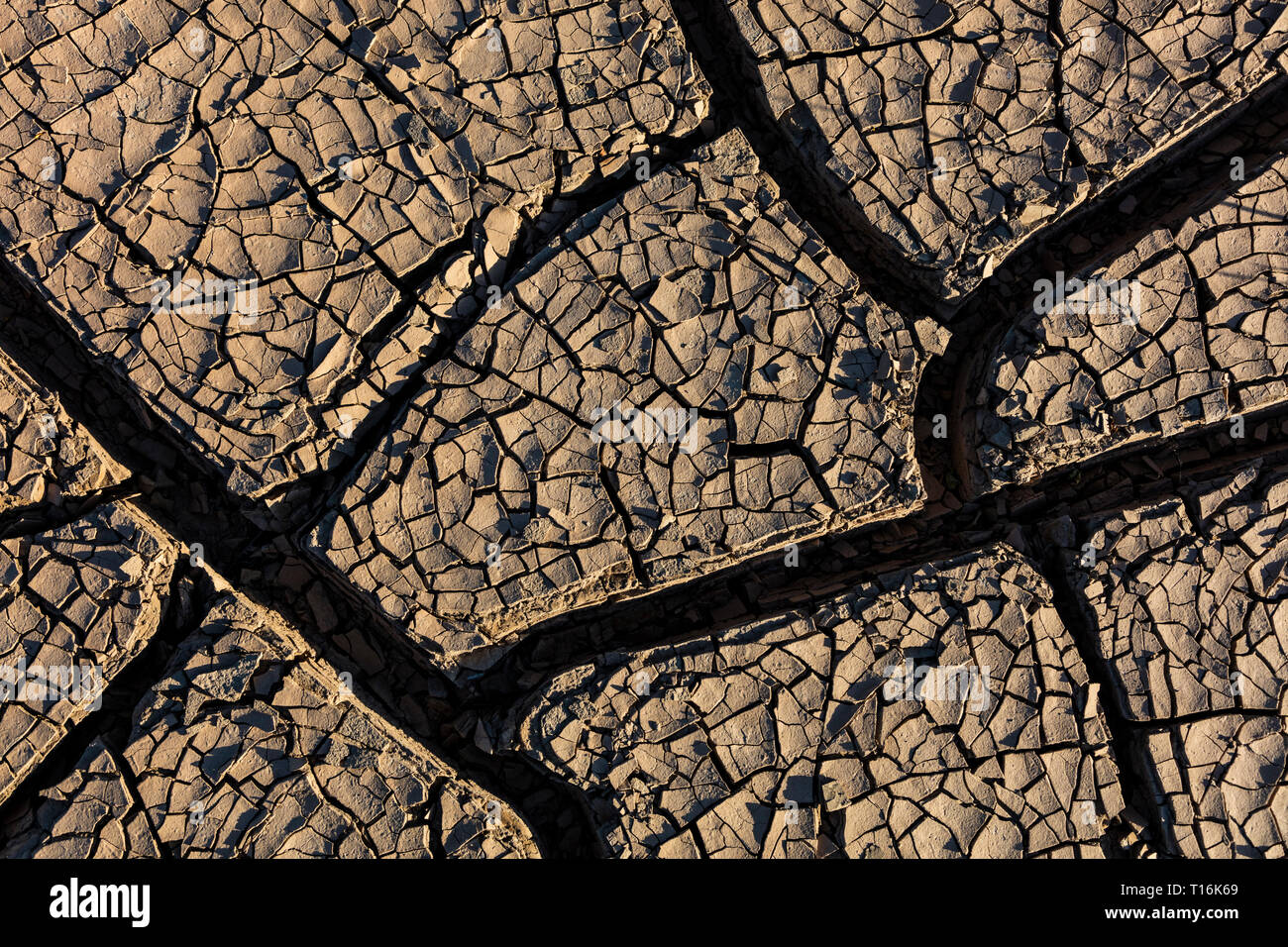 Erde nach Frühling Regen - Joshua Tree National Park, Kalifornien geknackt Stockfoto