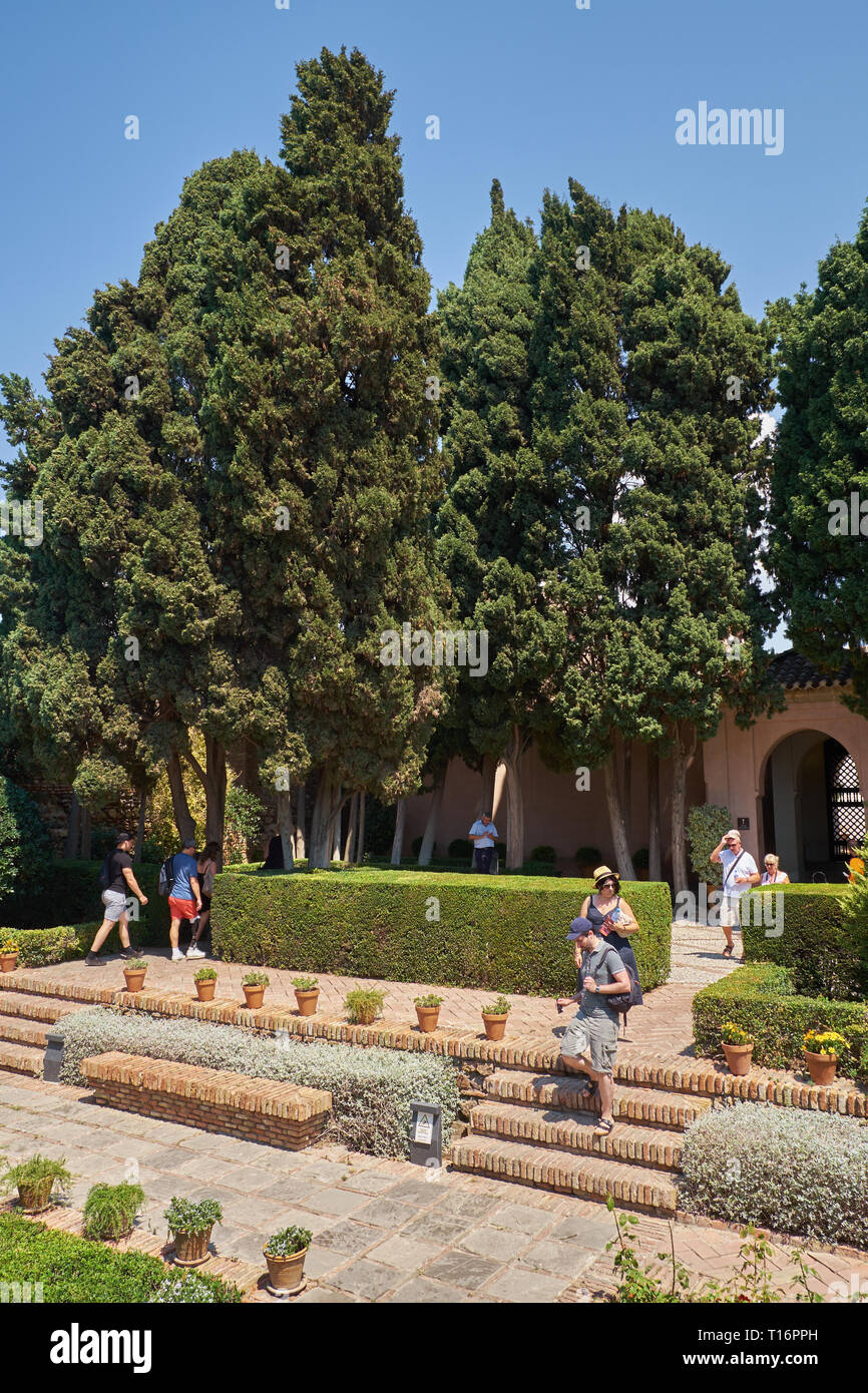 Alcazaba von Málaga. Andalusien, Spanien. Stockfoto
