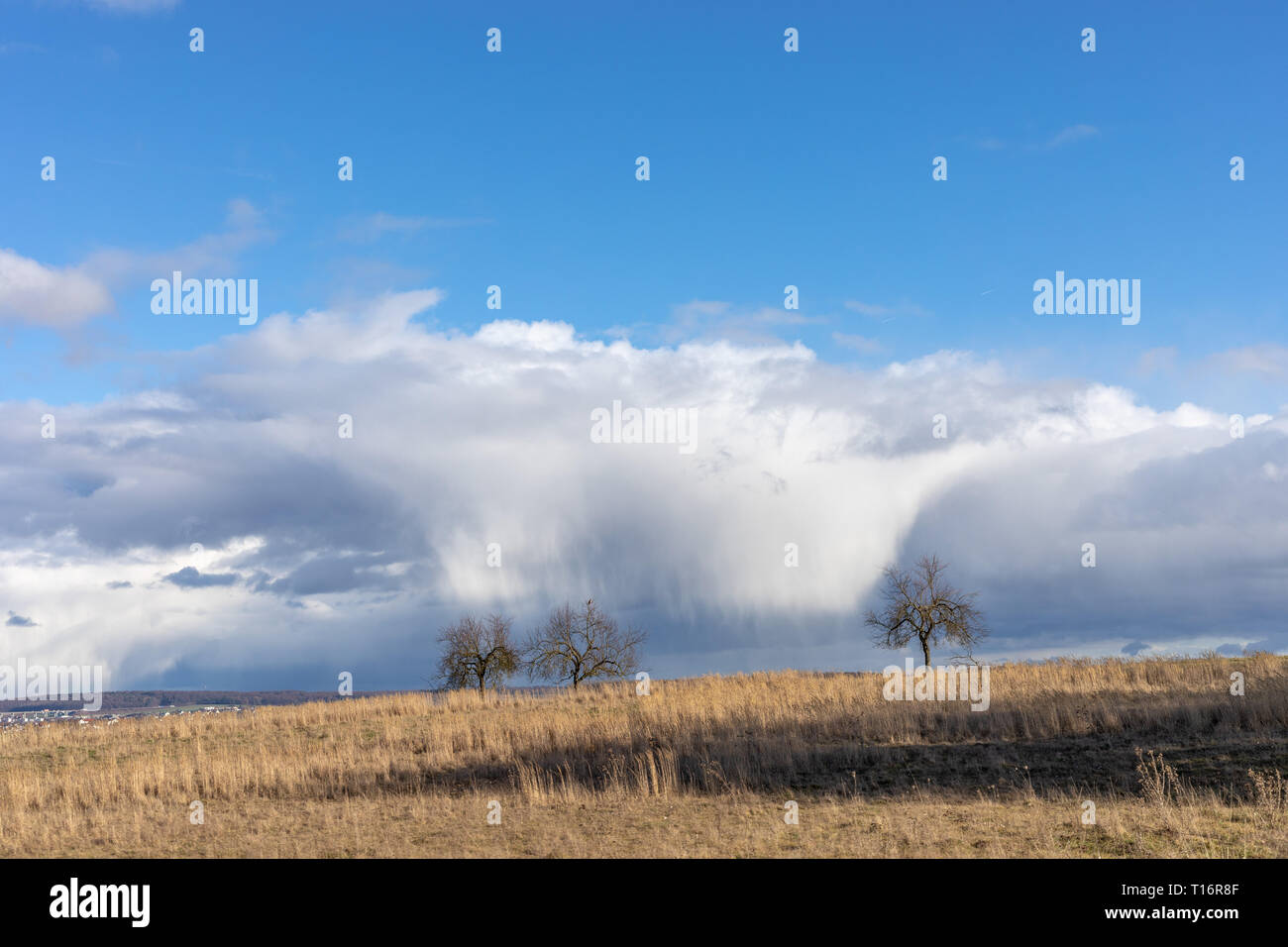 Grüne Felder und blauer Himmel über Hessen in Deutschland Stockfoto