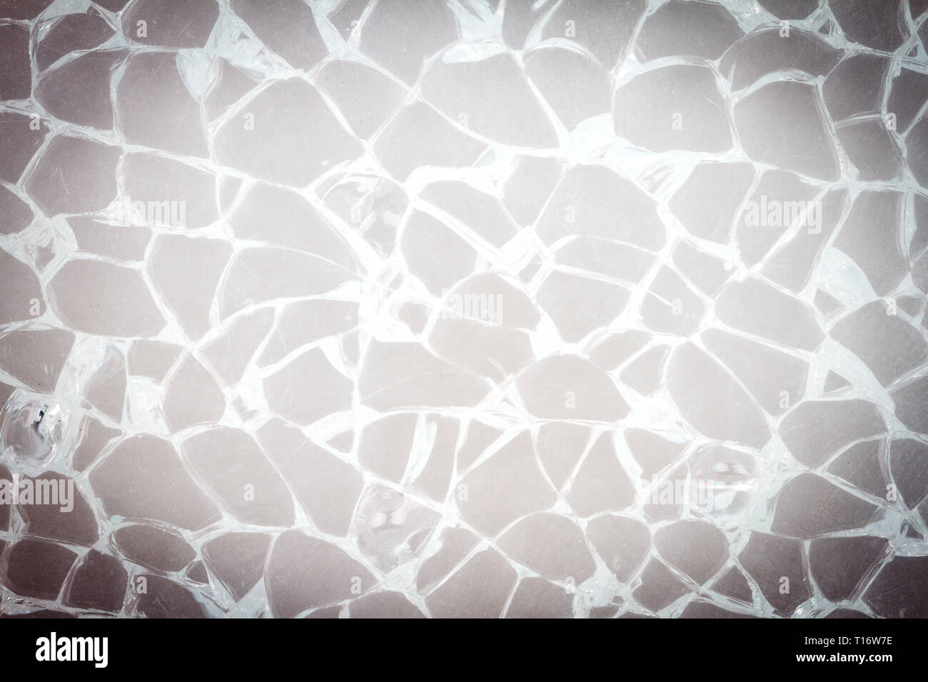 Gebrochene Glas der Windschutzscheibe Textur auf einem grauen Hintergrund. Zerbrochenes Glas mit weißen Risse. Stockfoto