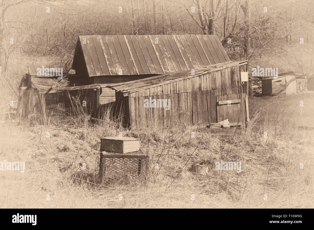 Alte hölzerne im rustikalen, ländlichen Umgebung werfen. Vintage sepia Look. Stockfoto