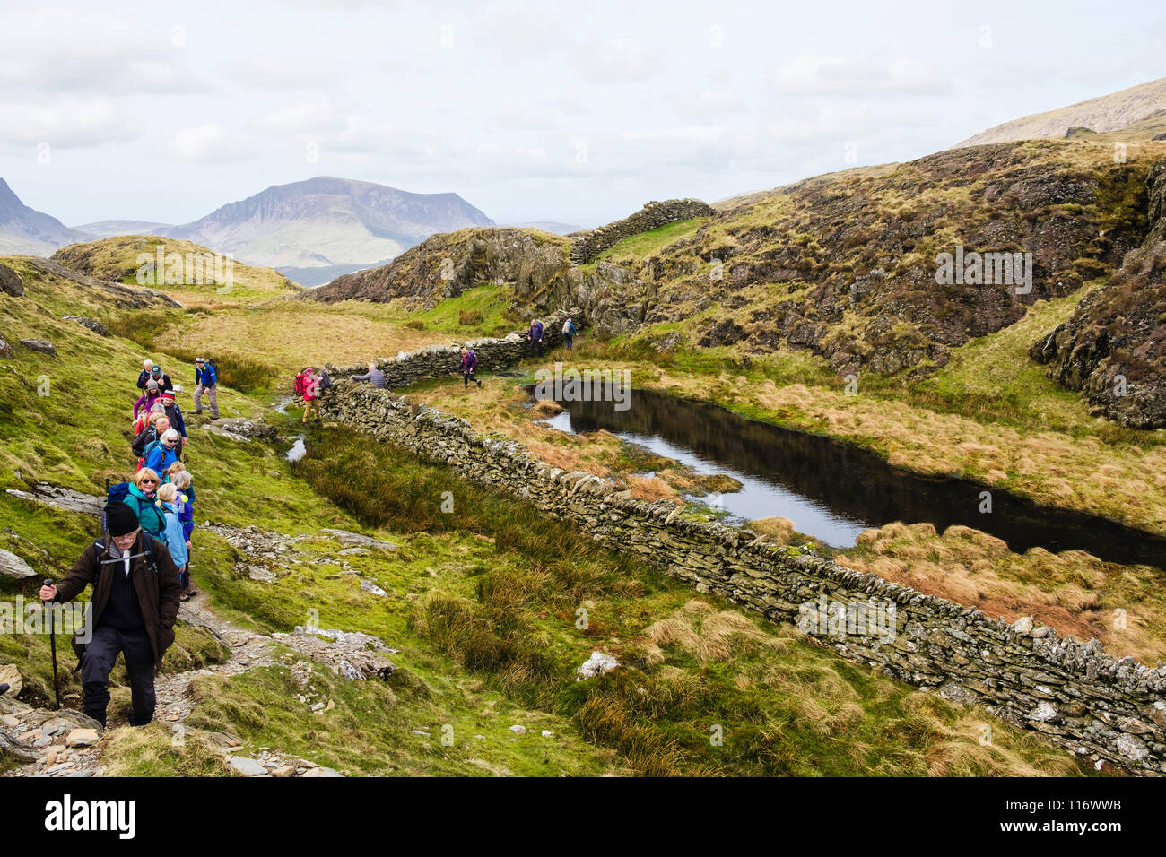 Ramblers Gruppe Wandern auf dem Weg bis Jahre Aran Mountain North Ridge in den Bergen von Snowdonia National Park. Gwynedd, Wales, Großbritannien, Großbritannien Stockfoto
