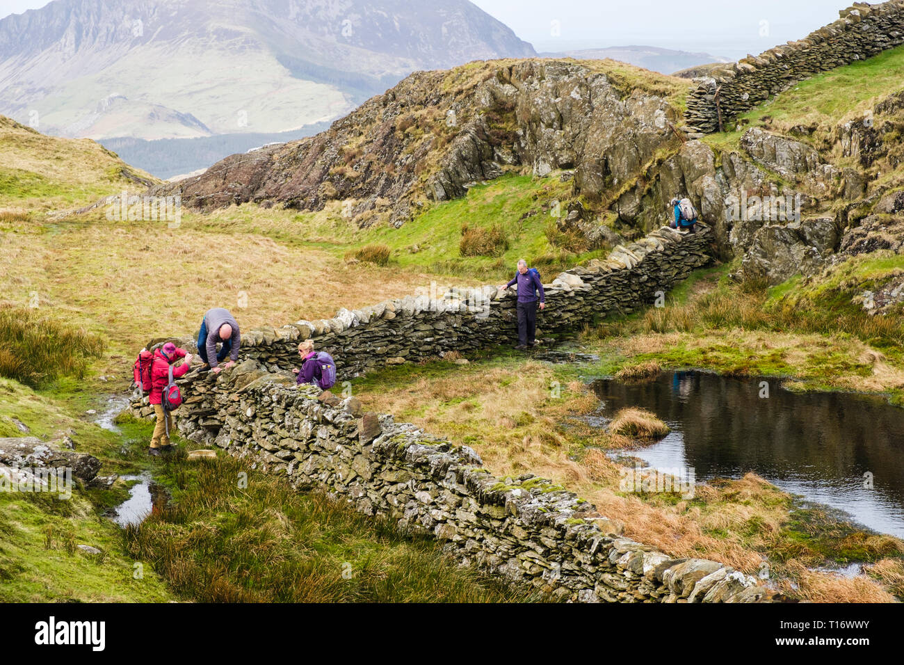 Wanderer klettern über unbeholfene Steinmauer Stil auf dem Weg bis Jahre Aran North Ridge in den Bergen von Snowdonia National Park. Gwynedd, Wales, Großbritannien, Großbritannien Stockfoto