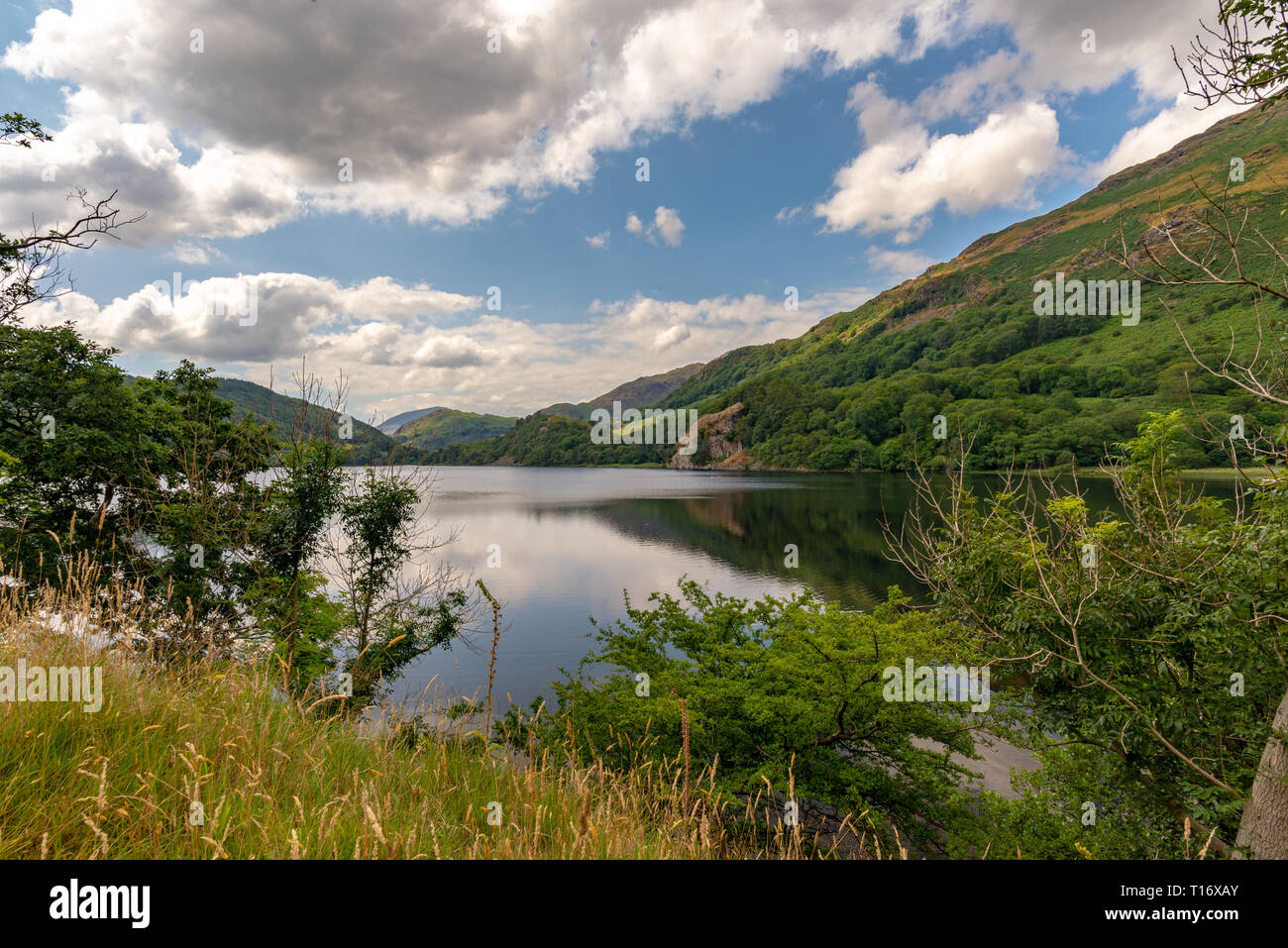 Blick auf den ruhigen Gewässern der Llyn Gwynant, Wales, Vereinigtes Königreich Stockfoto