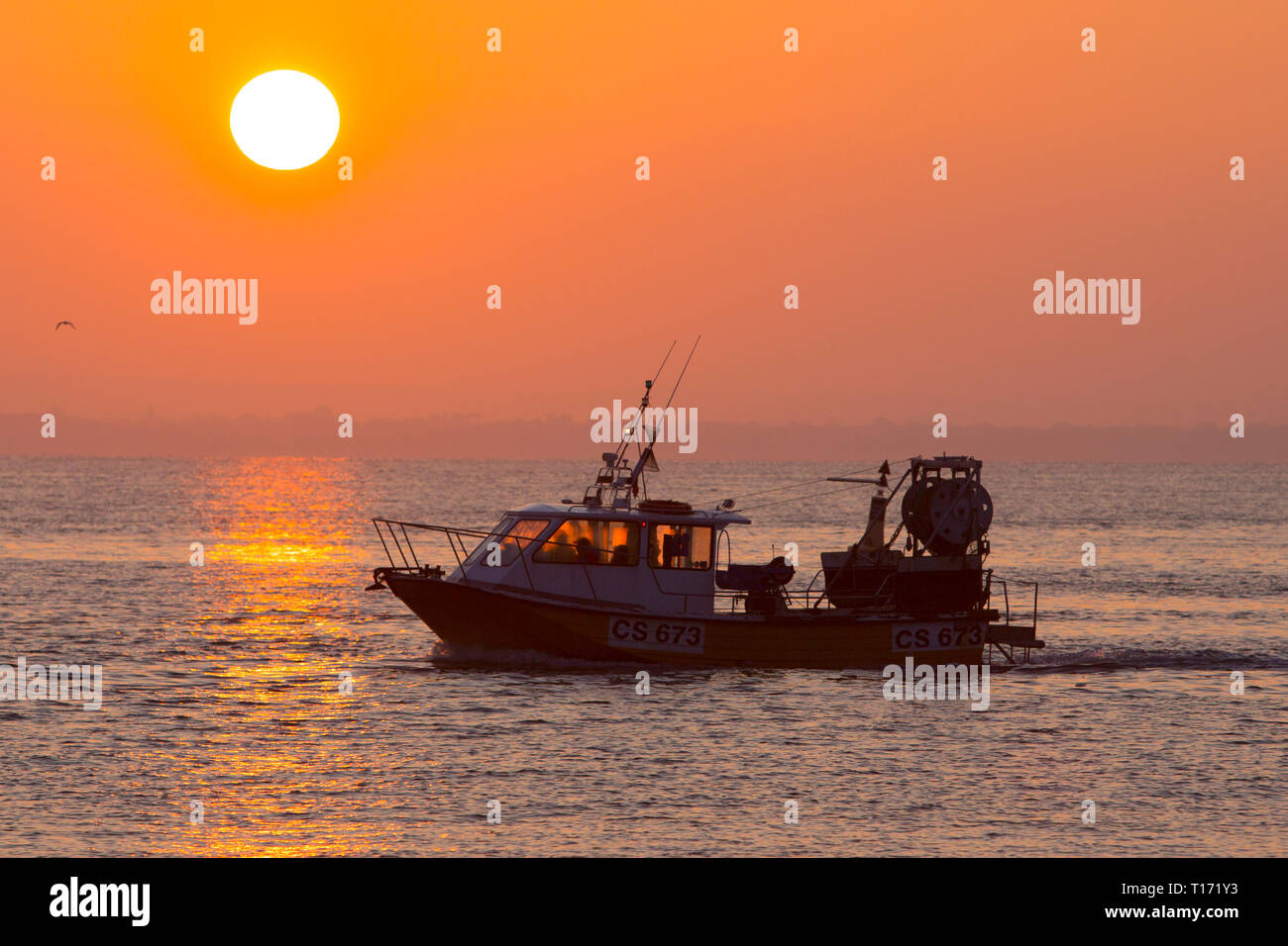 Angeln, Boot, Hummer, Krabben, Austern, Töpfe, lange, line, Fischkutter, Sonnenuntergang, Sonnenaufgang, den Solent, Cowes, Isle of Wight, England, Vereinigtes Königreich, Stockfoto