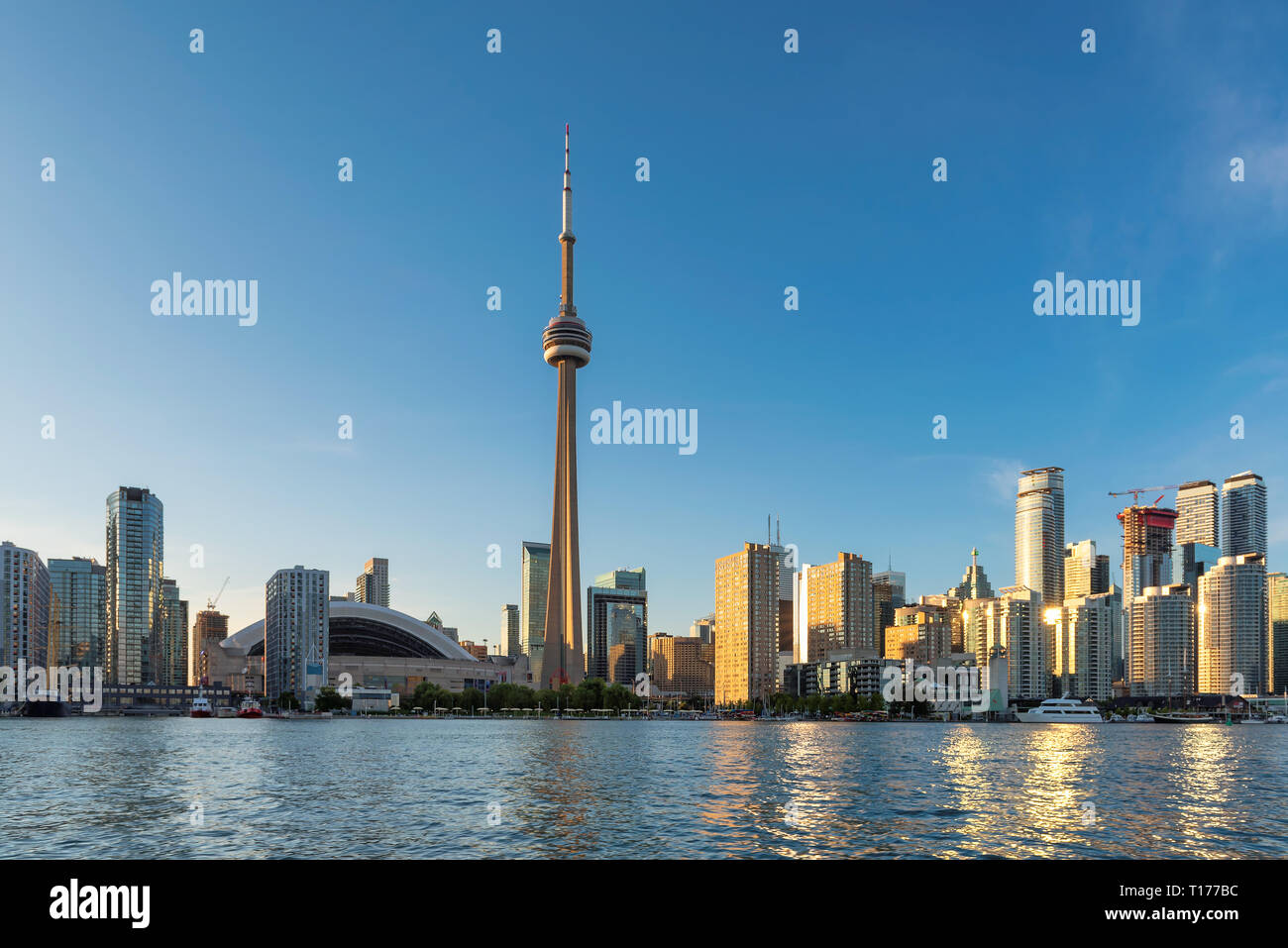 Skyline von Toronto, Toronto, Ontario, Kanada. Stockfoto