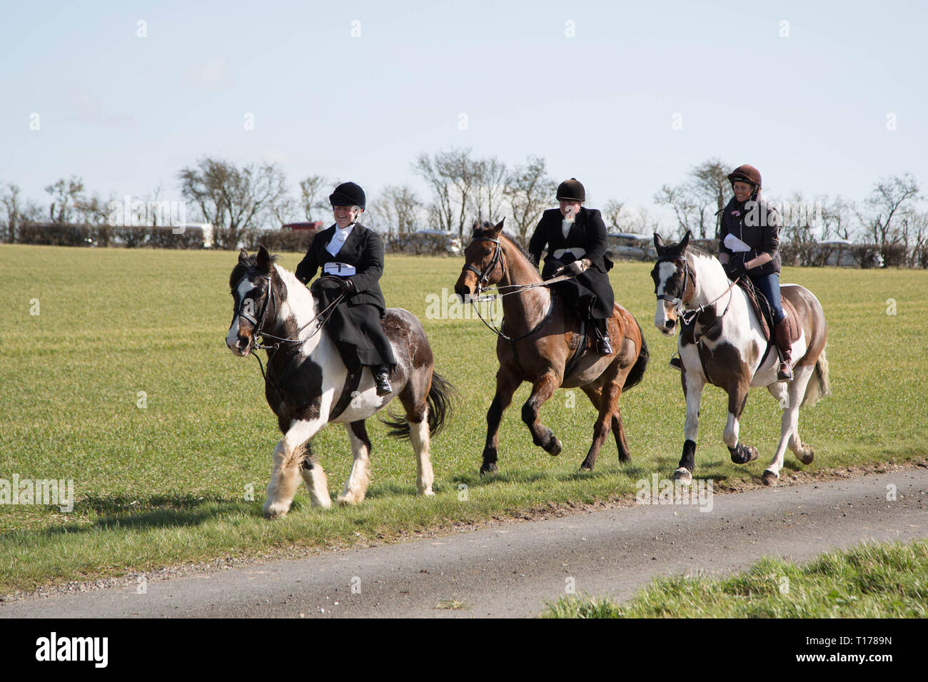 2019 Kiplingcotes Derby Stockfoto