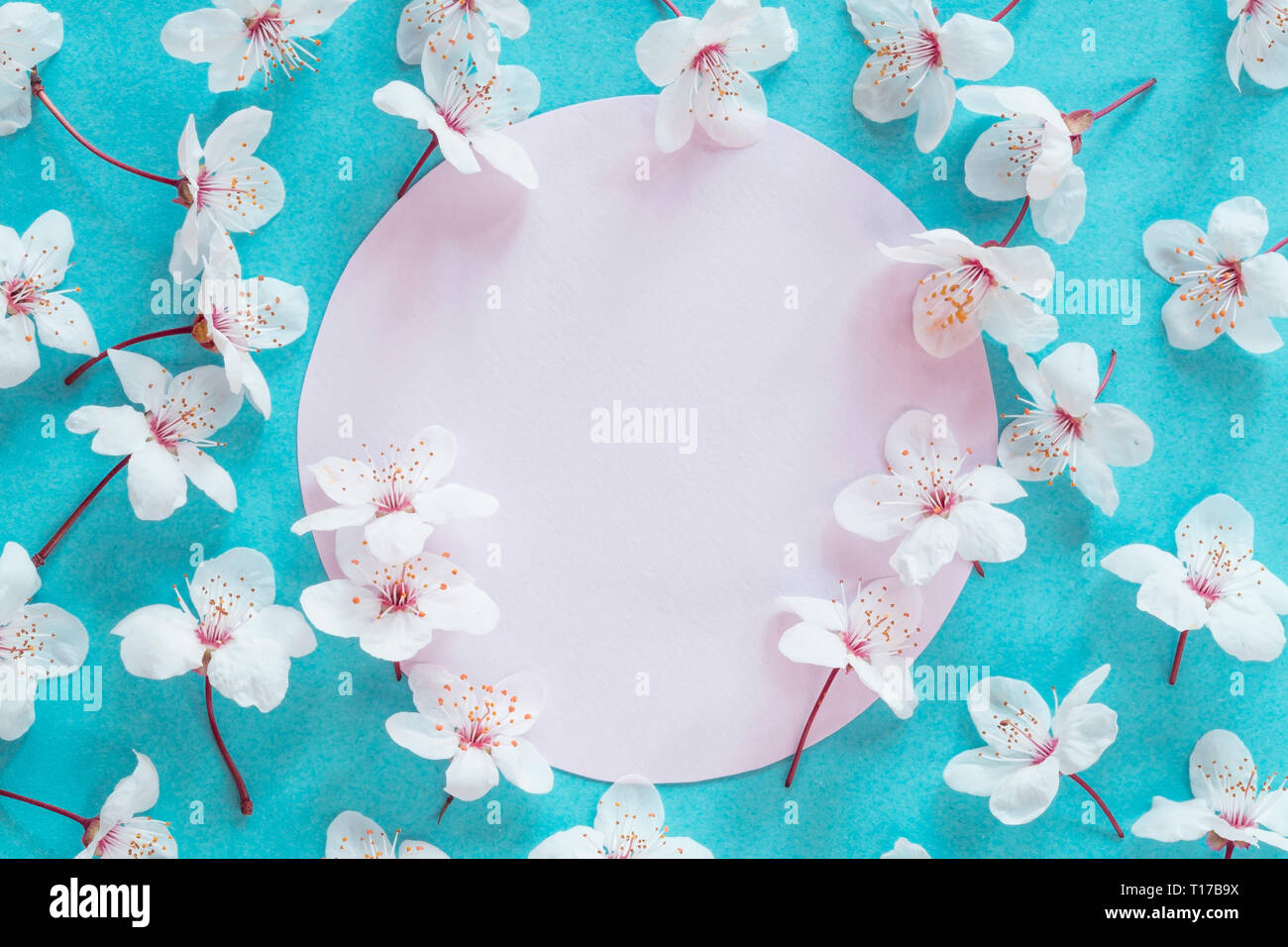 Spring Blossom mit einer leeren Nachricht Stockfoto