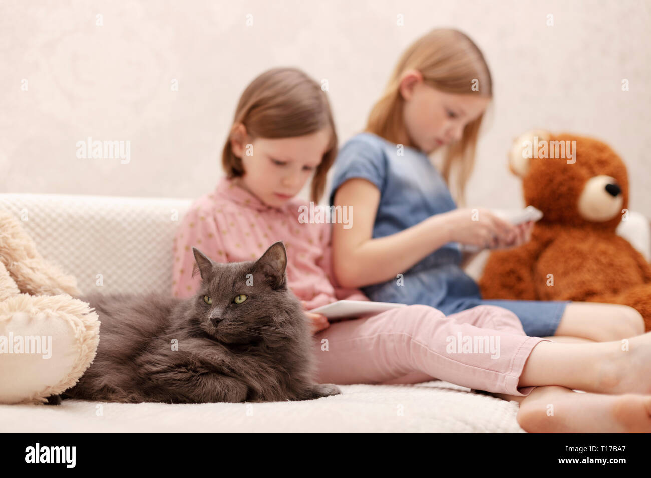 Zwei Mädchen (7 und 8 Jahre alt) gerade ein E-Buch und ein Smartphone zu Hause auf dem Sofa mit ihrer Katze. Selektive konzentrieren. Stockfoto