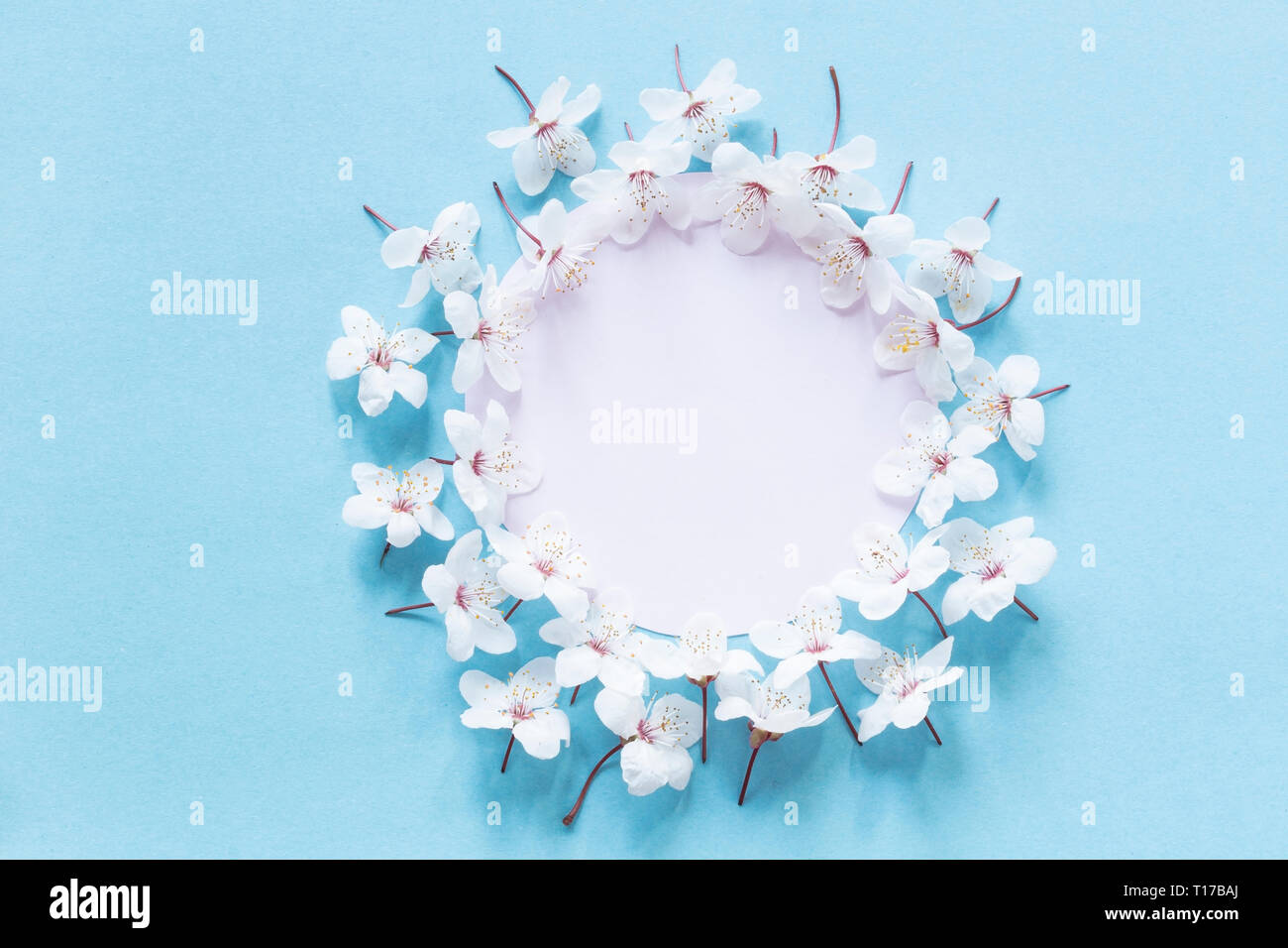 Spring Blossom mit einer leeren Nachricht Stockfoto