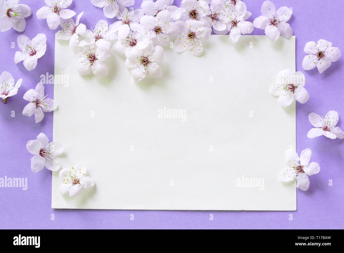 Spring Blossom mit einer leeren Nachricht Stockfoto