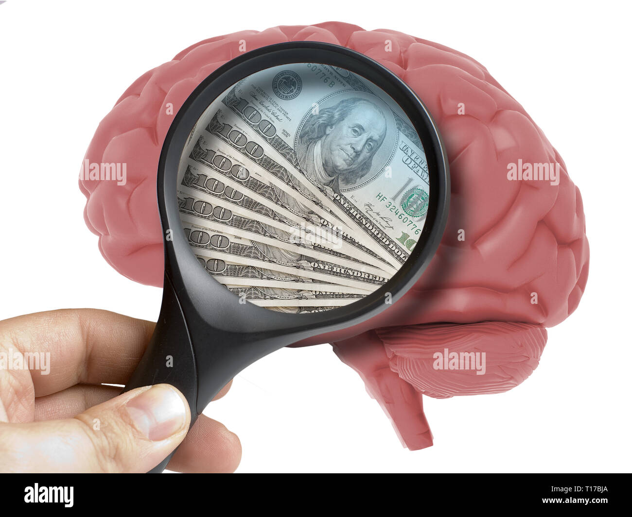Menschliche Gehirn analysiert mit Lupe geld Dollar Banknoten usa innen sucht isoliert auf weißem Stockfoto