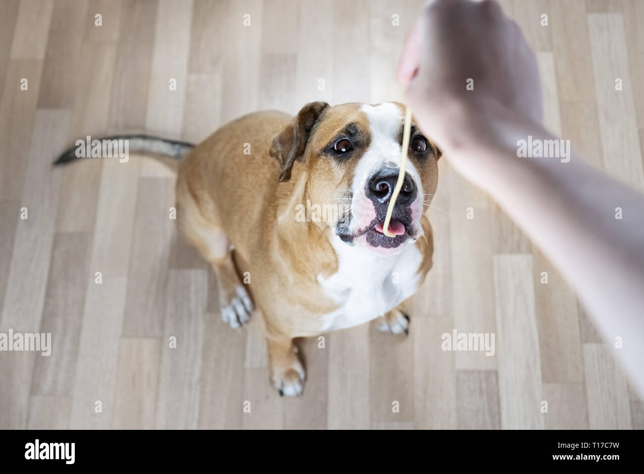 Nimmt Einen Leck Stockfotos Und Bilder Kaufen Alamy