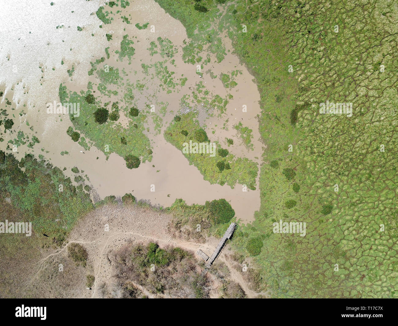 Luftaufnahme von Las Macanas Marsh reserve in der Provinz Herrera, Panama Stockfoto