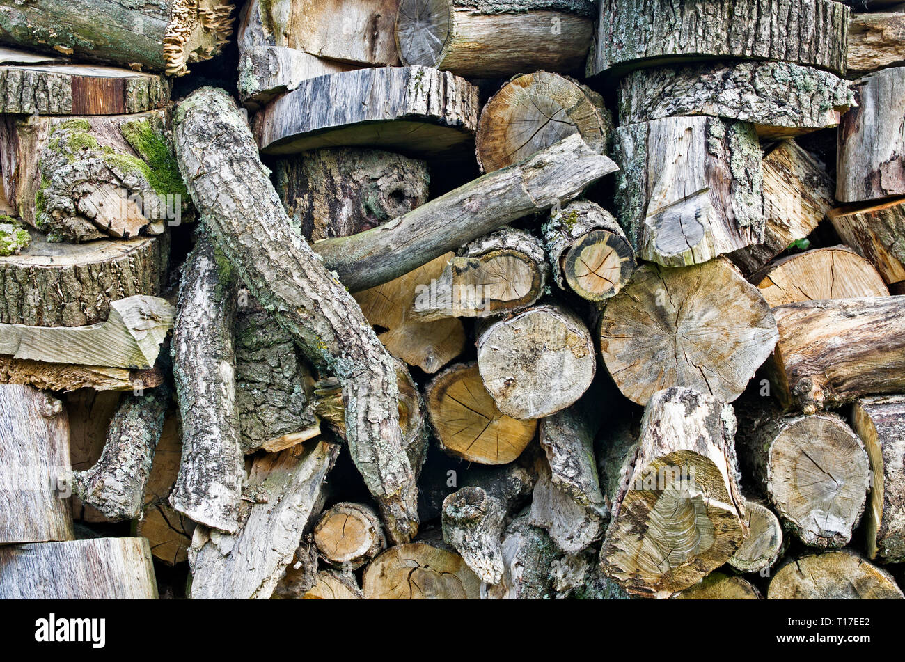 In der Nähe von alten grob behauenen Texturierte gehackt Protokolle gestapelt für Brennholz, England, Großbritannien Stockfoto