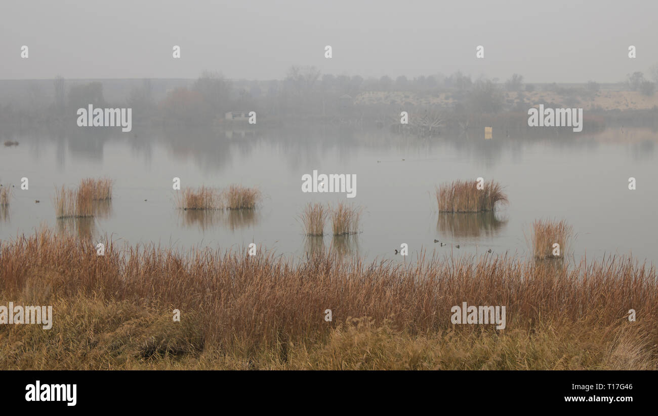 Landschaft von''Estany d'Ivars' mit Nebel, Katalonien, Spanien. Stockfoto