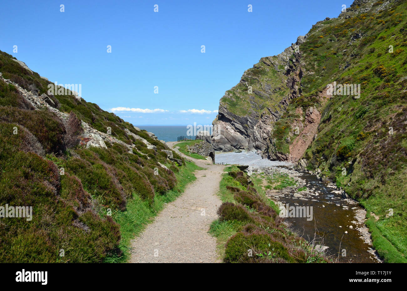 Neben dem stream Route, zum Strand durch Heddon Tal, Küste, Devon, Großbritannien Stockfoto