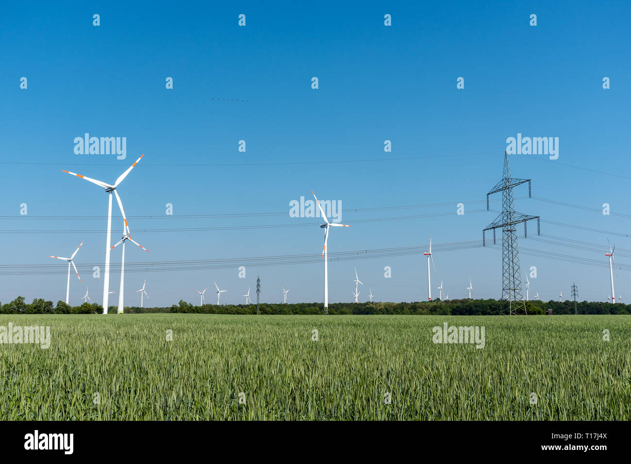 Windenergieanlagen und einer Freileitung in Deutschland Stockfoto