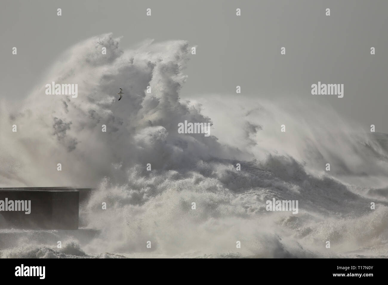 Big Wave splash. Douro River Mouth meer Pfeiler in einer stürmischen, aber sonnigen Tag. Stockfoto