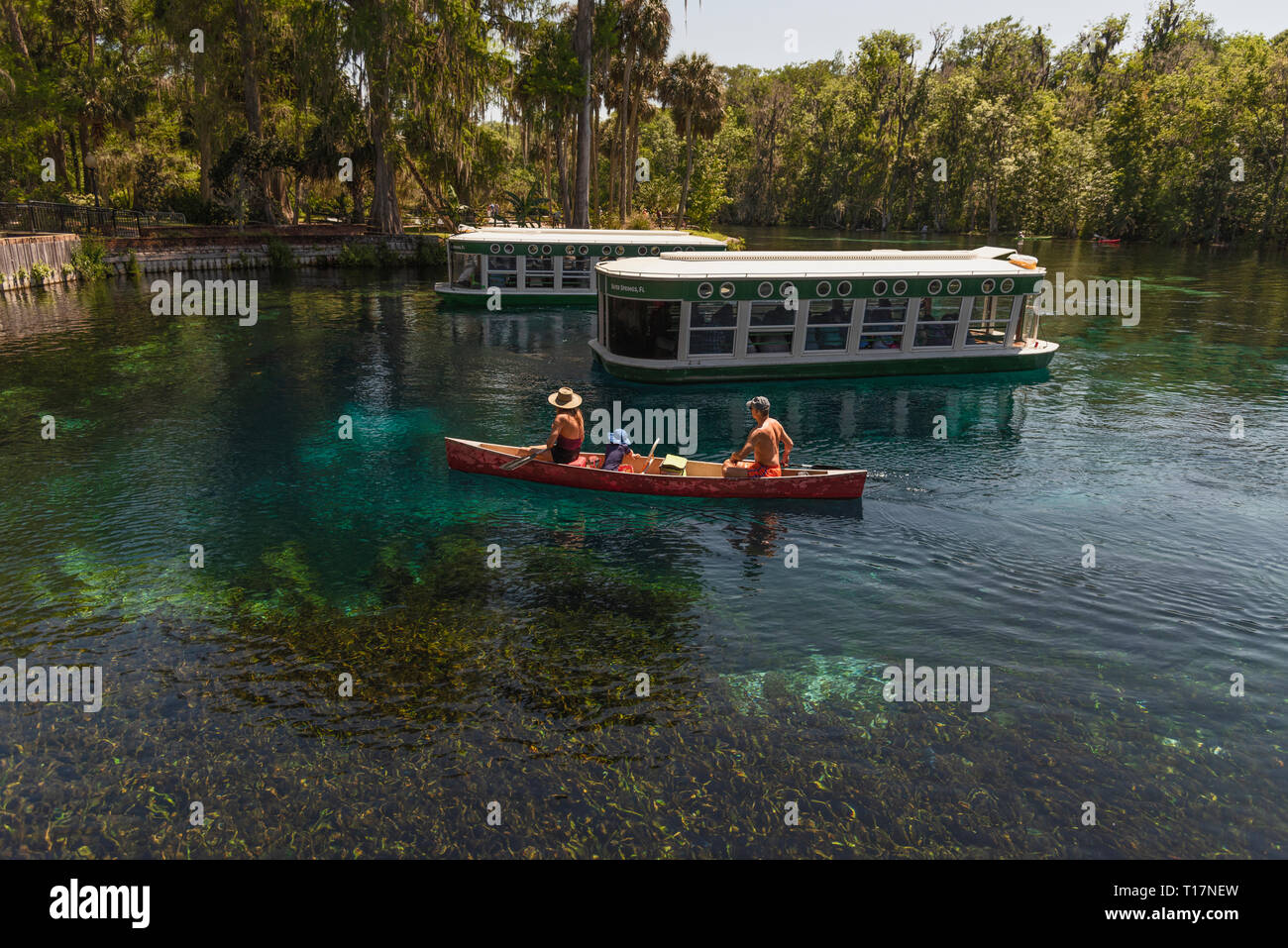 Silver Springs Florida Glasbodenboot Stockfoto