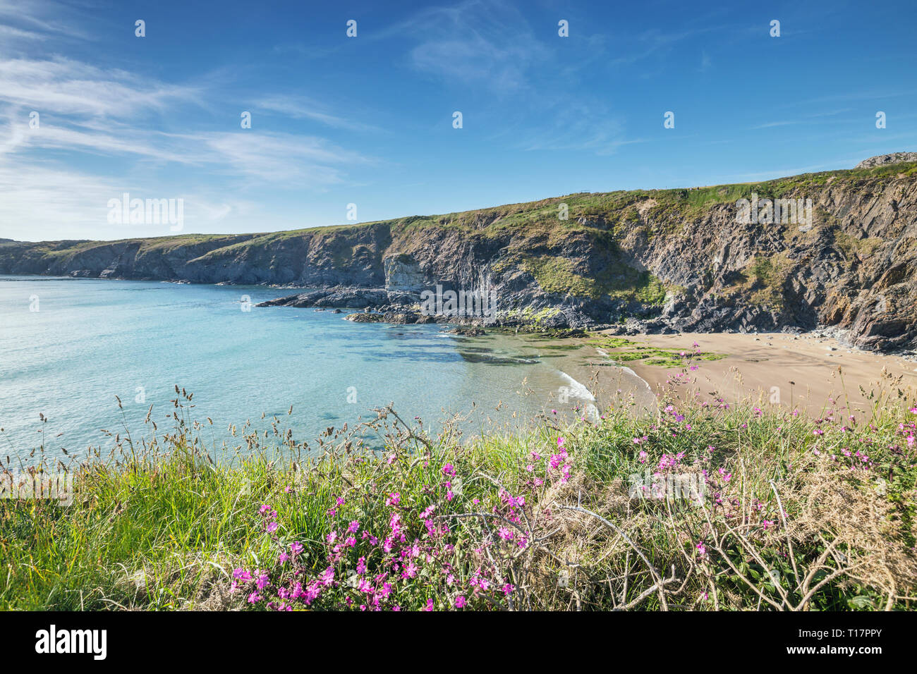 Malerische Klippen und ruhige blaue Meer von St David's Halbinsel bei hellen Sommertag. Pembrokeshire Coast National Park im Westen von Wales, Großbritannien Stockfoto