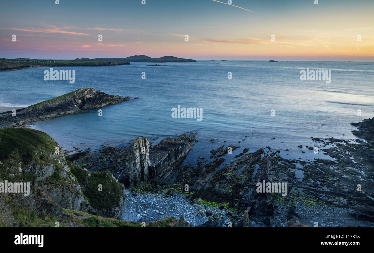 Felsen bei Ebbe. Whitesands Bay in Pembrokeshire, Wales, Großbritannien Stockfoto