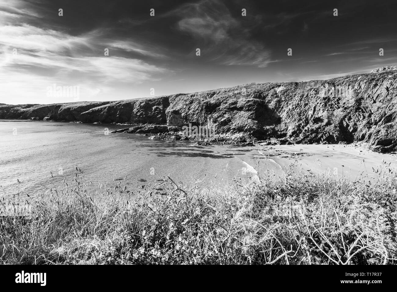 Malerische Klippen und ruhige See von St David's Halbinsel bei hellen Sommertag. Pembrokeshire Coast National Park im Westen von Wales, UK. Schwarze und weiße bearbeiten Stockfoto