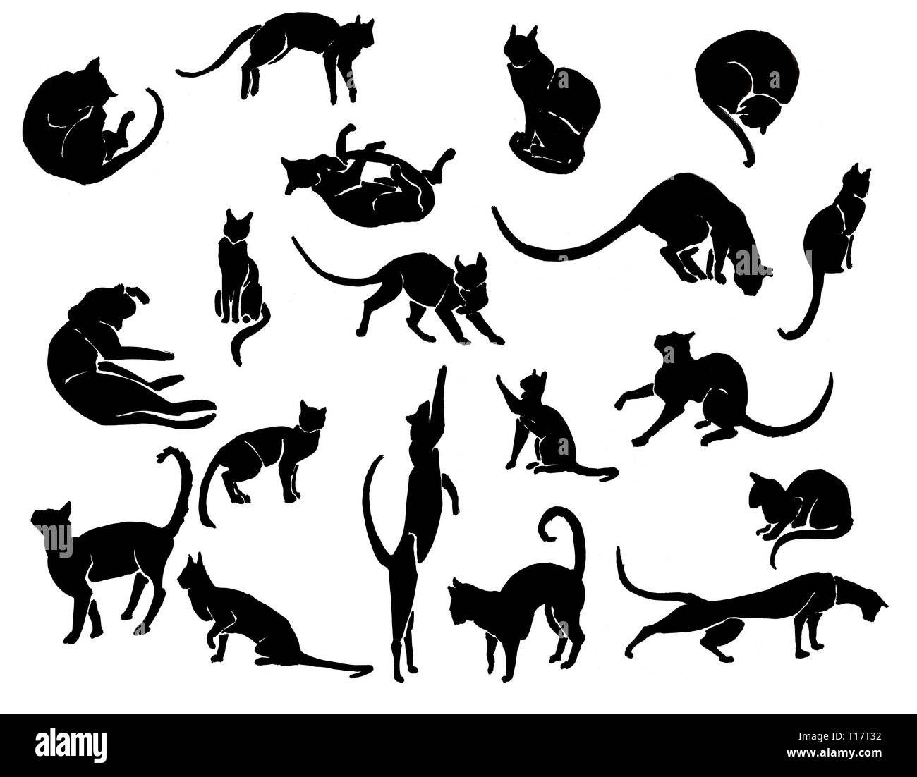 Hand gezeichnet Tinte Cat Silhoettes Stockfoto