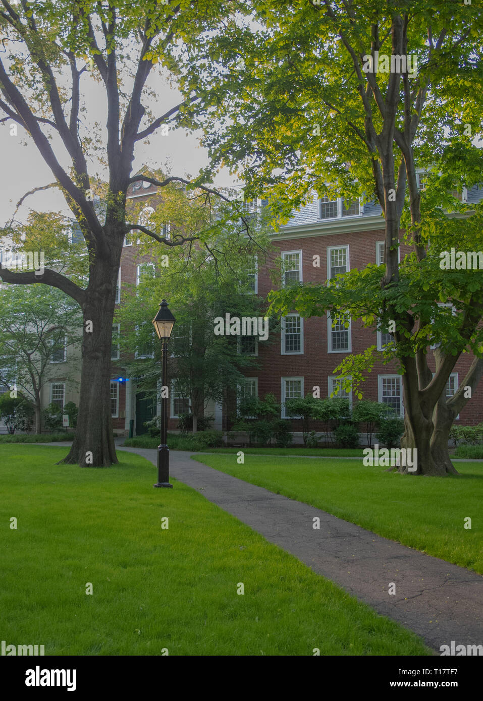 Harvard University Stockfoto