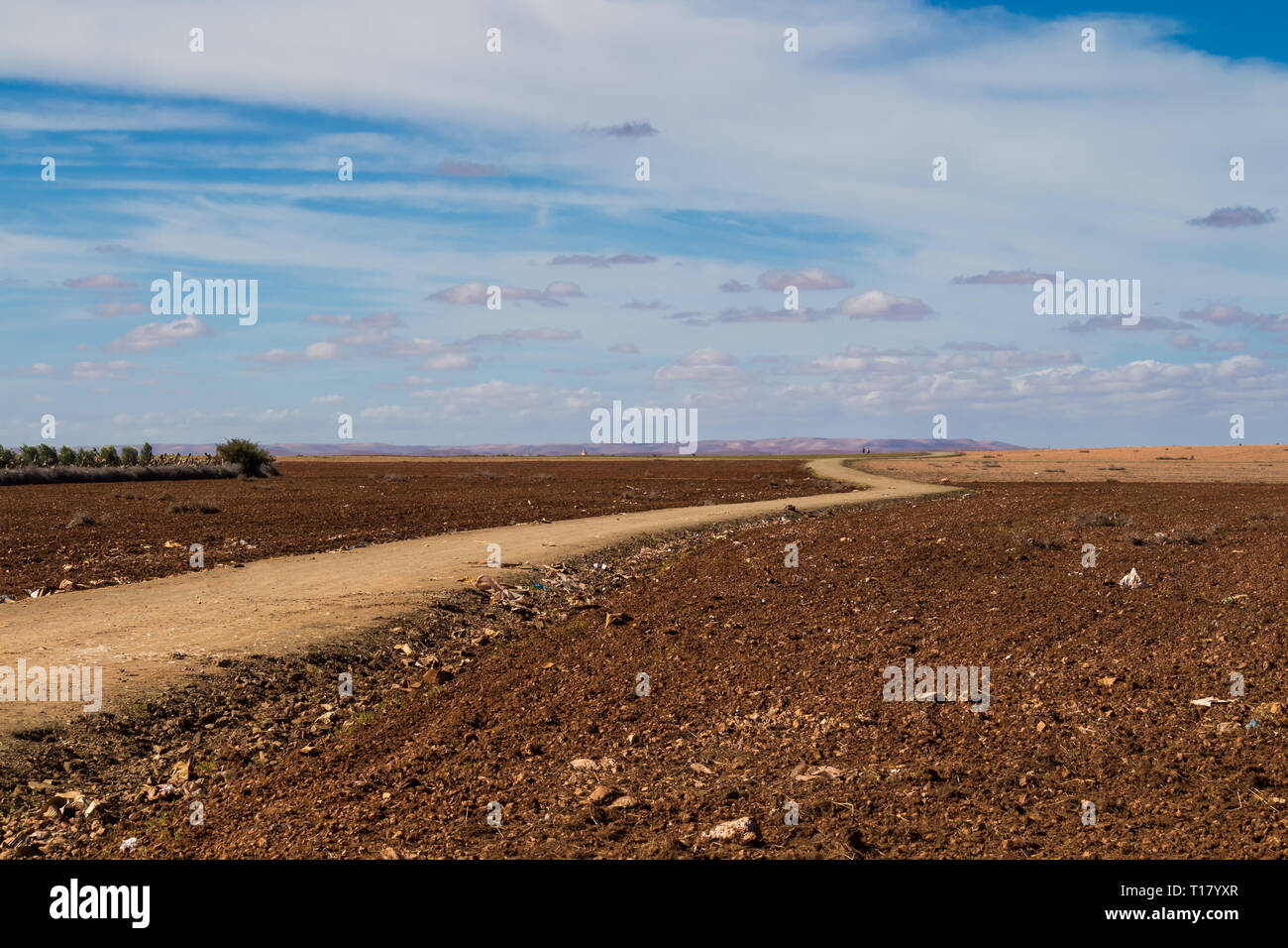 Herbst Felder, bereit für die neue Saison zu kommen, die ein Land geschwungene Straße unterteilt. Horizont im Hintergrund. Blauer Himmel mit weißen Wolken. Morocc Stockfoto