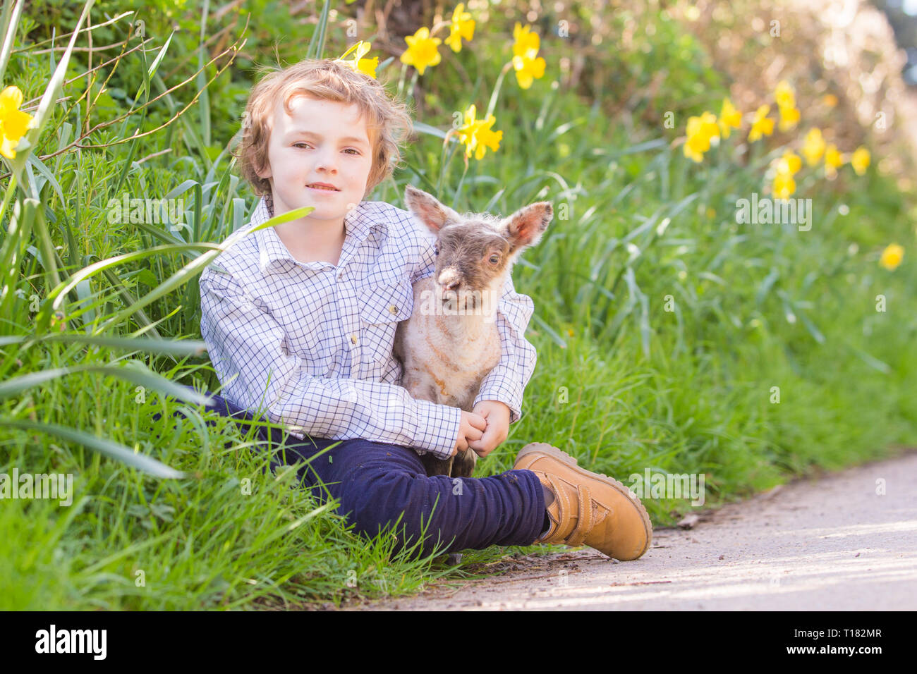 Arley, Worcestershire, Großbritannien. 24. März, 2019. 5-jährige Henley Mühlen mit Martha, ein Tag - alte Lamm, auf die Farm seiner Familie im Arley, in der Nähe von Kidderminster, Worcestershire. Peter Lopeman/Alamy leben Nachrichten Stockfoto