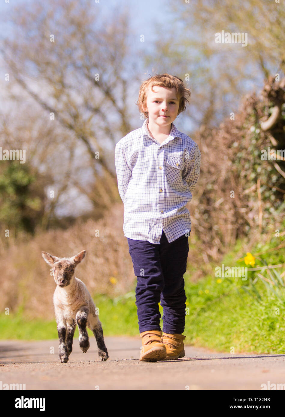Arley, Worcestershire, Großbritannien. 24. März, 2019. 5-jährige Henley Mühlen mit Martha, ein Tag - alte Lamm, auf die Farm seiner Familie im Arley, in der Nähe von Kidderminster, Worcestershire. Peter Lopeman/Alamy leben Nachrichten Stockfoto
