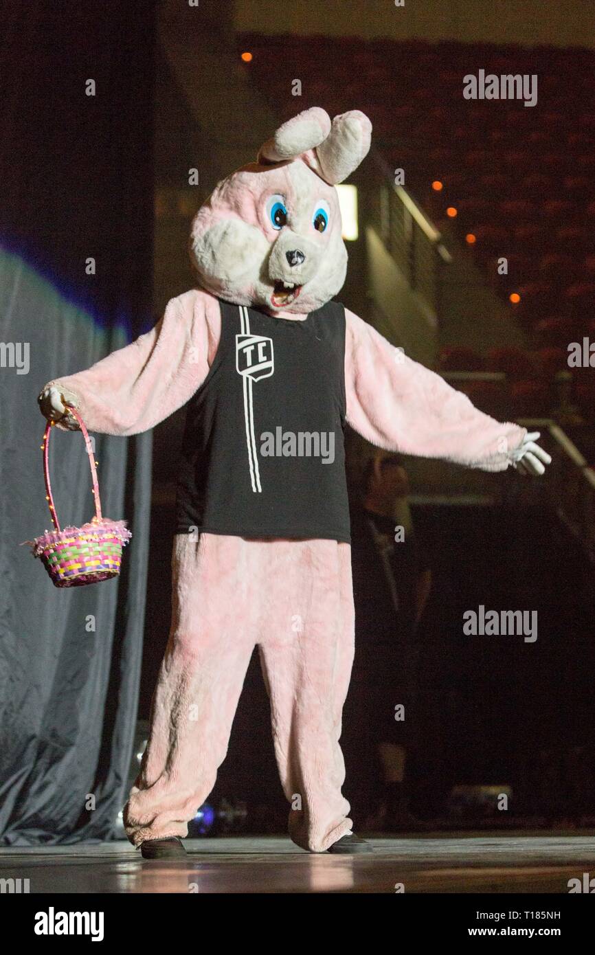 Green Bay, Wisconsin, USA. 30 Mär, 2017. Die berüchtigten Pink Bunny prances herum vor Green Day die Bühne Resch Center in Green Bay, Wisconsin Credit: Daniel DeSlover/ZUMA Draht/Alamy leben Nachrichten Stockfoto